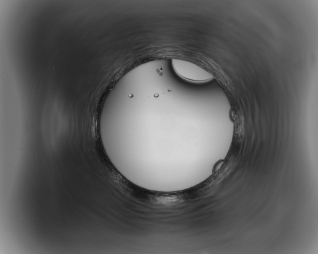 X0000100310669200806051330