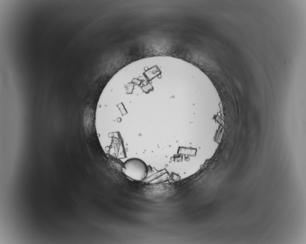 X0000100310672200806051330