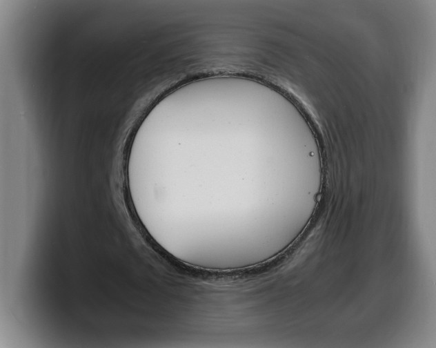 X0000100310673200806051329