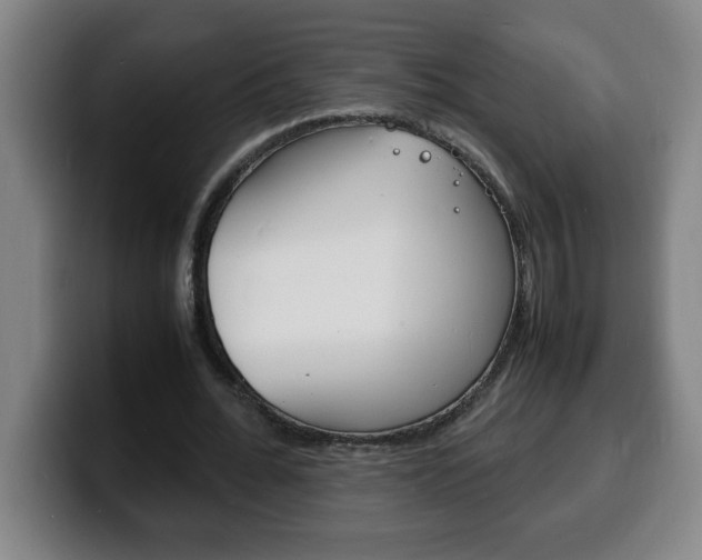 X0000100310676200806051329
