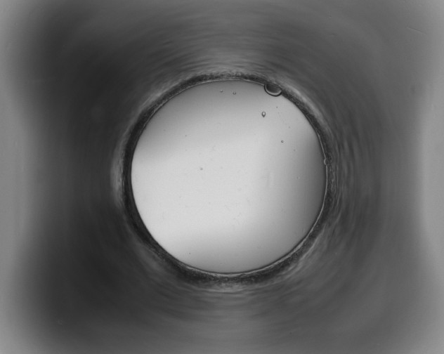 X0000100310677200806051329
