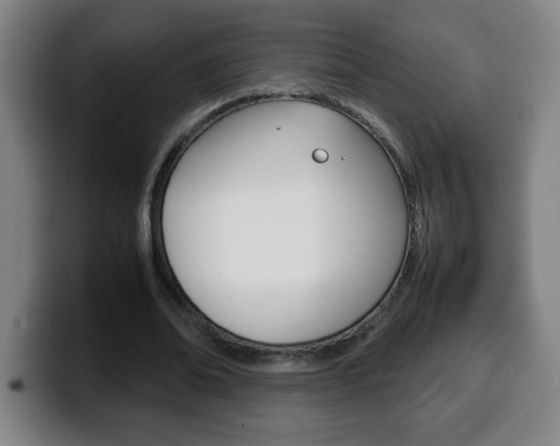 X0000100310678200806051329
