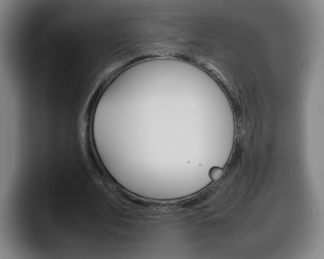 X0000100310679200806051329