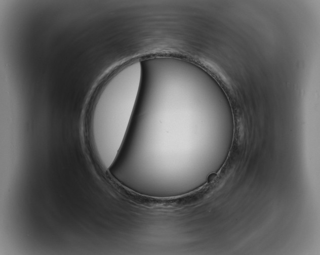X0000100310680200806051329