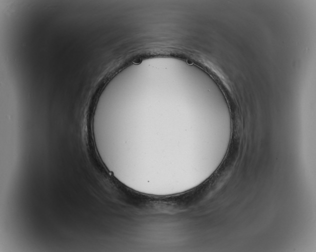 X0000100310681200806051329