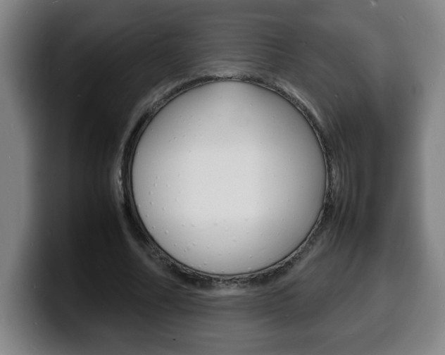 X0000100310682200806051329