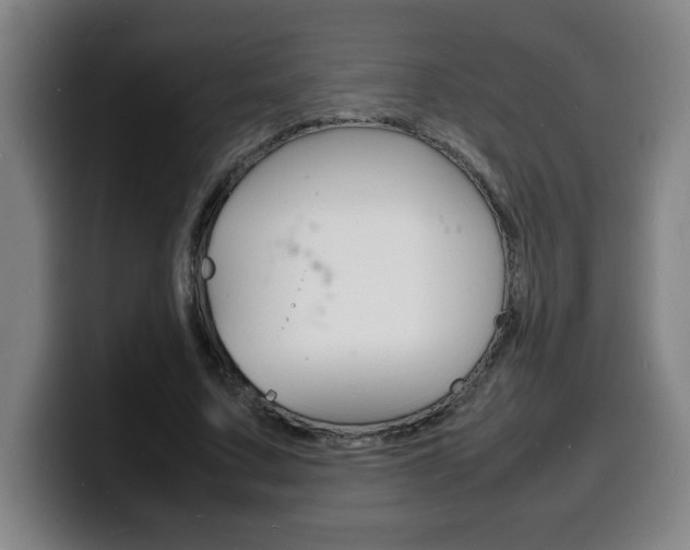 X0000100310683200806051329