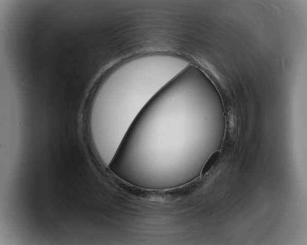 X0000100310684200806051329