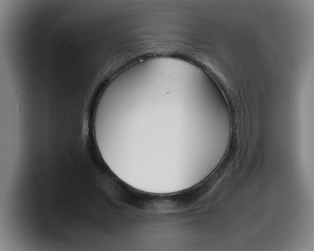 X0000100310685200806051329