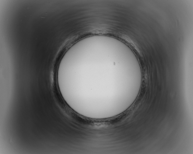 X0000100310686200806051329