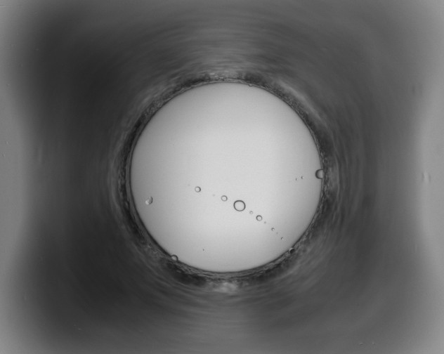 X0000100310687200806051329