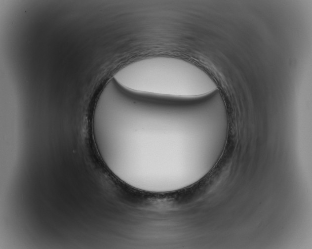 X0000100310689200806051329