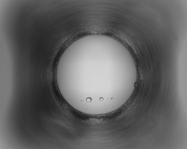 X0000100310690200806051329