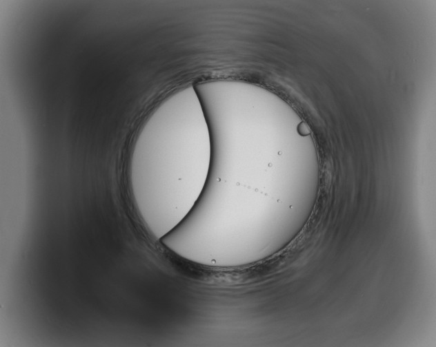 X0000100310691200806051329