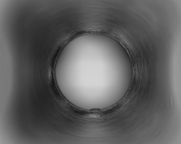 X0000100310692200806051329