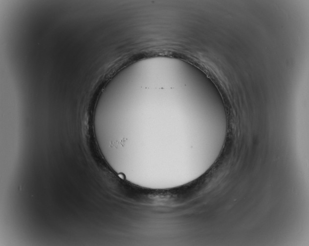 X0000100310693200806051329