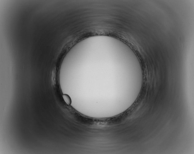 X0000100310694200806051329