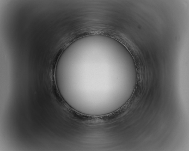 X0000100310696200806051329