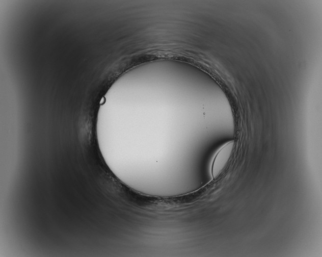 X0000100310697200806051329