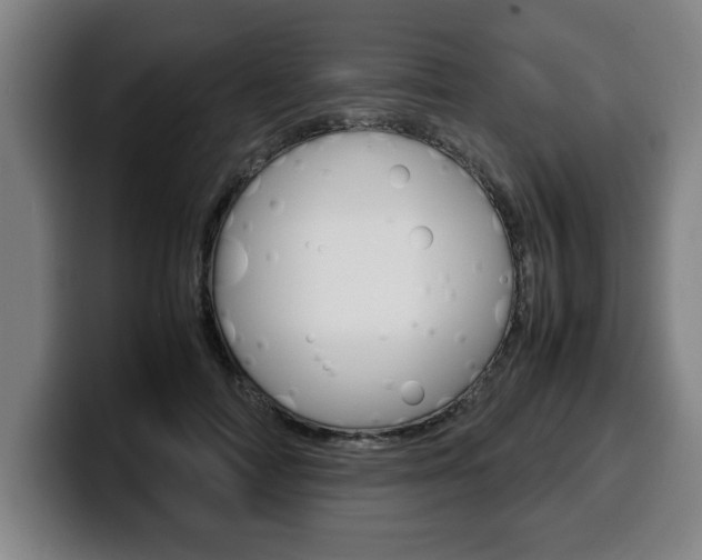 X0000100310698200806051329