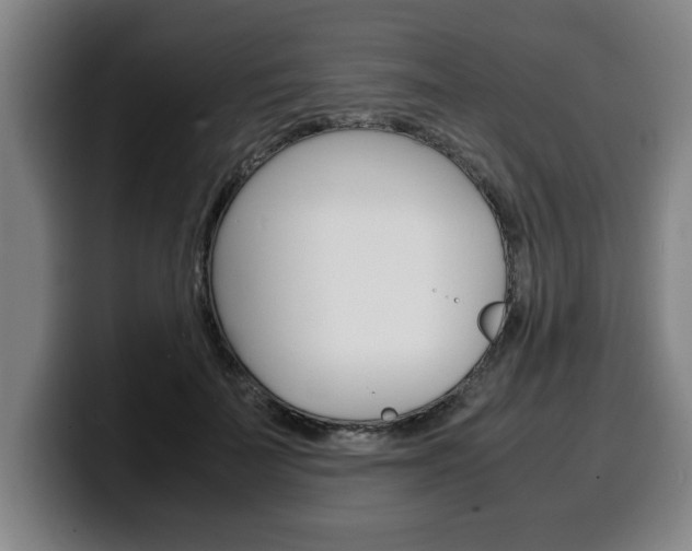 X0000100310699200806051329