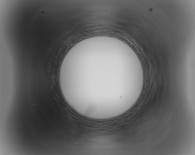 X0000100310701200806051329
