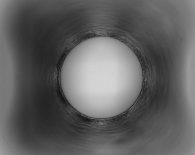X0000100310702200806051329