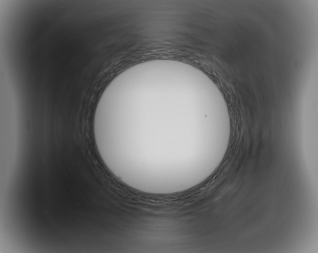 X0000100310705200806051329