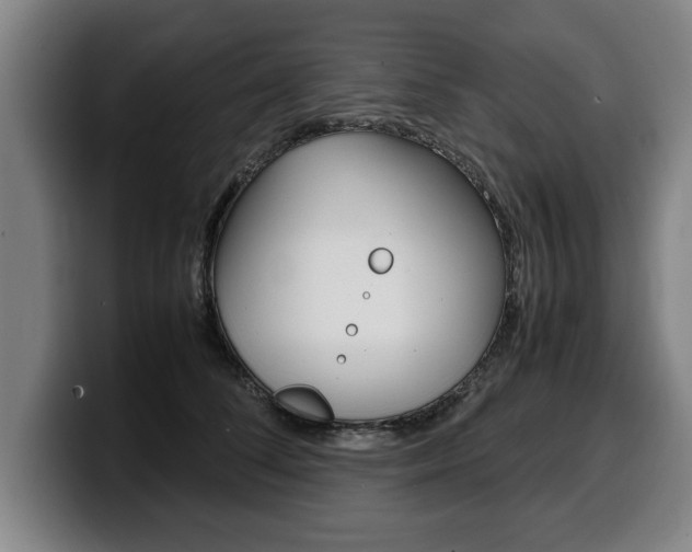 X0000100310708200806051329