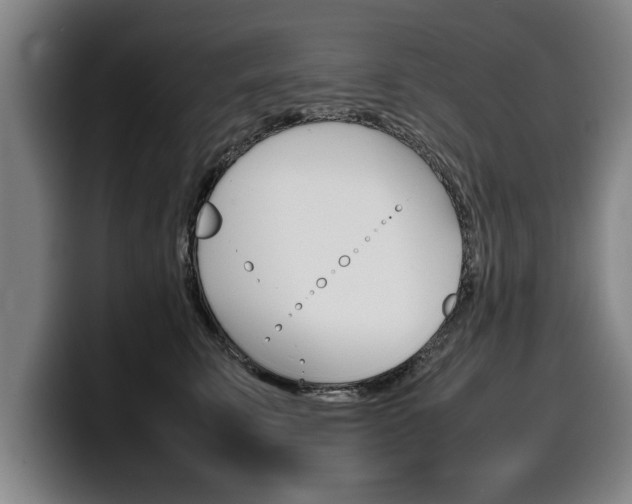 X0000100310711200806051329