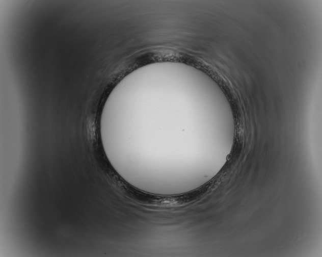 X0000100310715200806051329