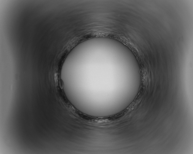 X0000100310716200806051329