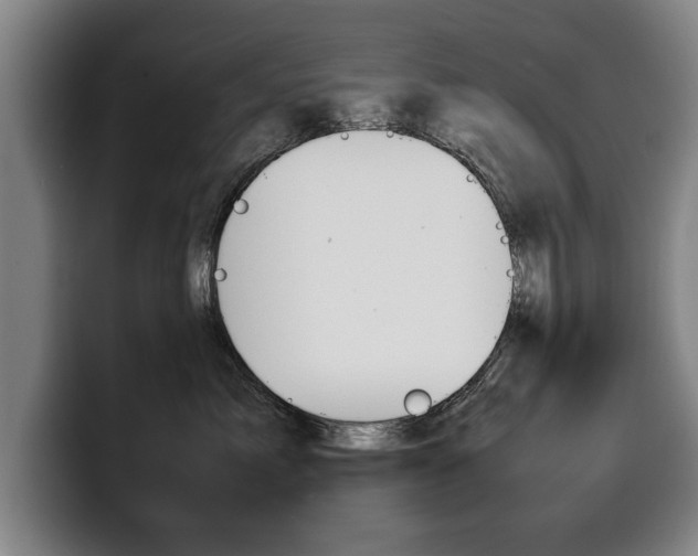 X0000100310717200806051329