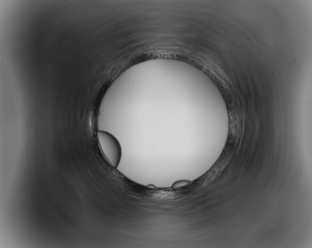 X0000100310718200806051329