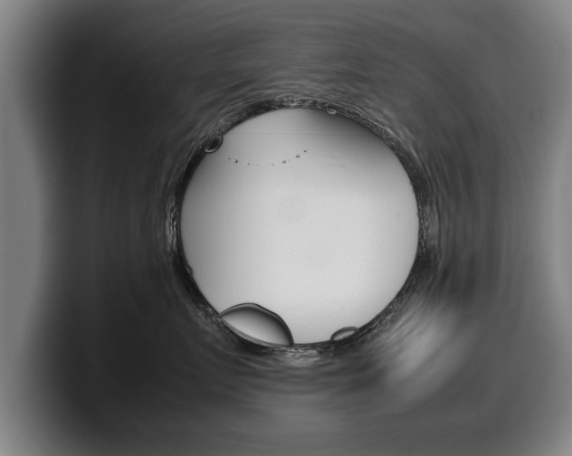 X0000100310719200806051329