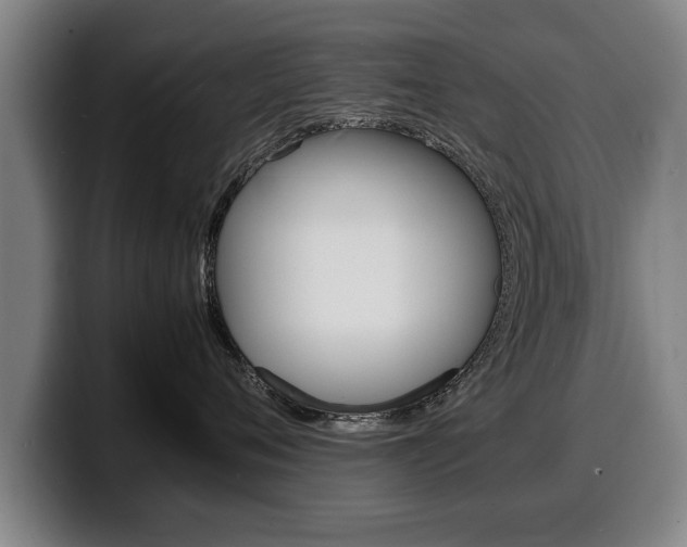 X0000100310720200806051329