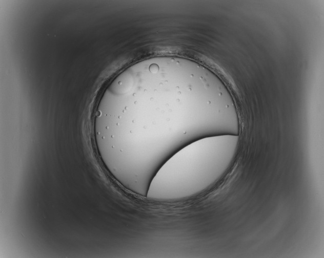 X0000100310721200806051328