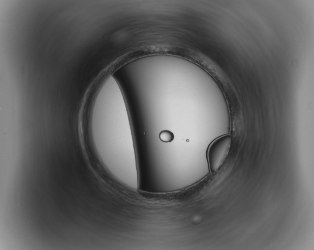 X0000100310722200806051328