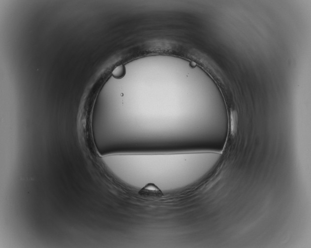 X0000100310723200806051328