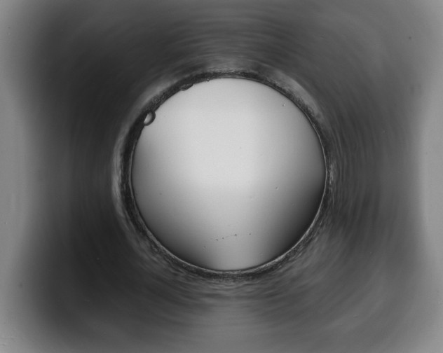X0000100310724200806051328