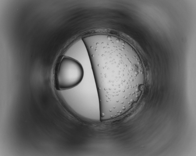 X0000100310725200806051328