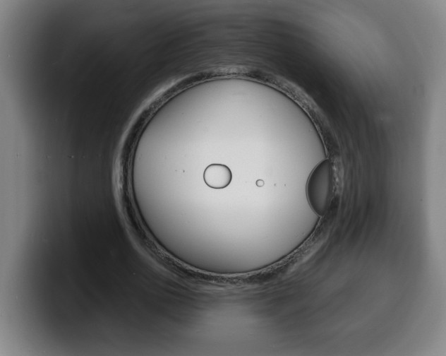 X0000100310726200806051328