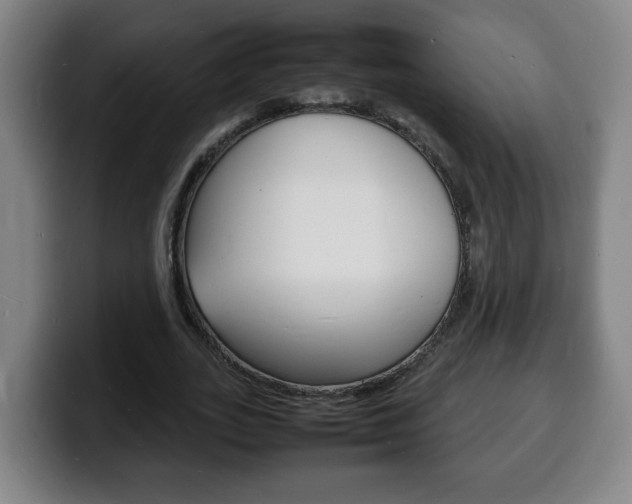 X0000100310727200806051328
