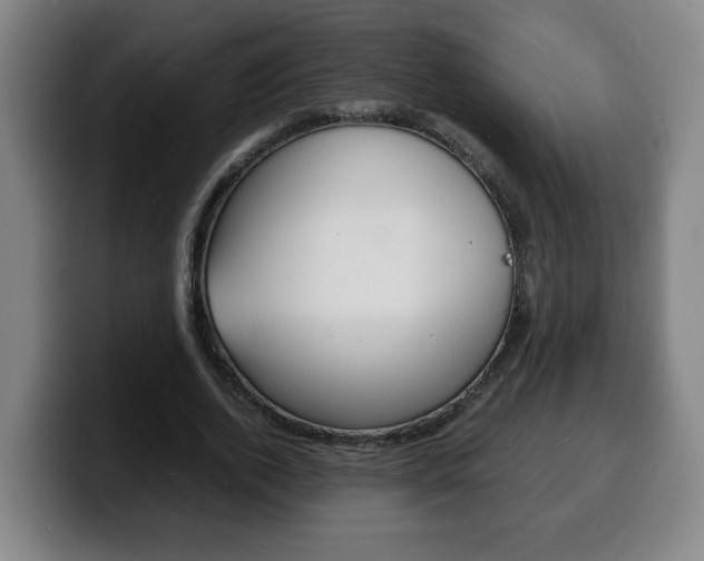 X0000100310728200806051328