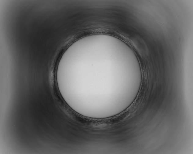 X0000100310729200806051328