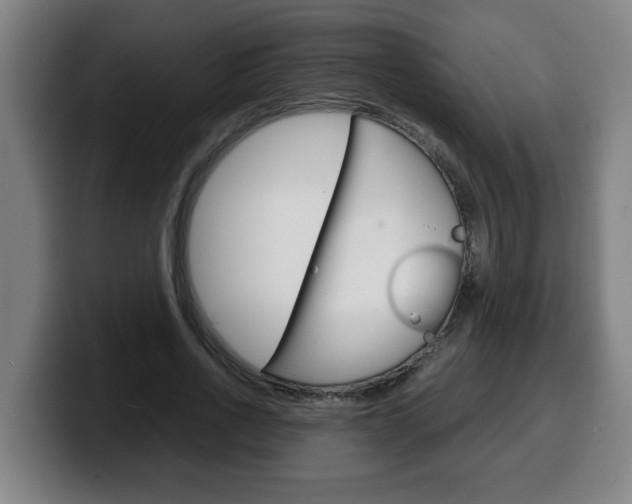 X0000100310734200806051328