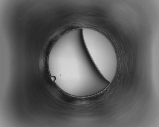 X0000100310735200806051328