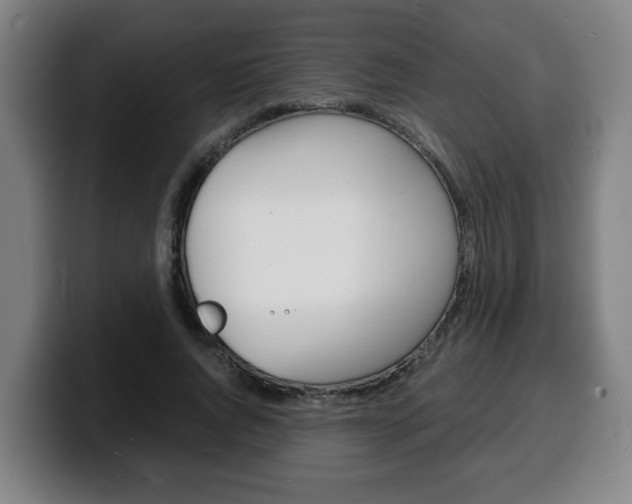 X0000100310736200806051328