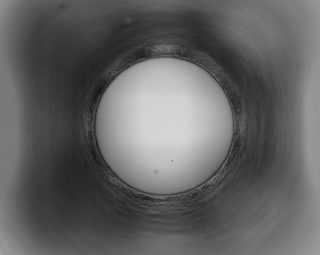 X0000100310737200806051328