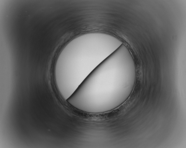 X0000100310738200806051328